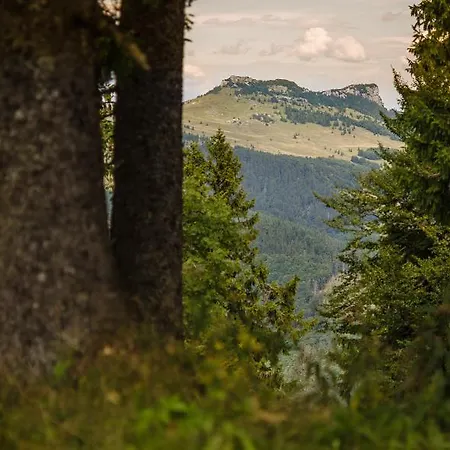 Horec Casa de hóspedes *